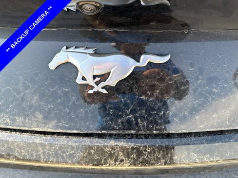 Used 2025 Ford Mustang Premium RWD image 8