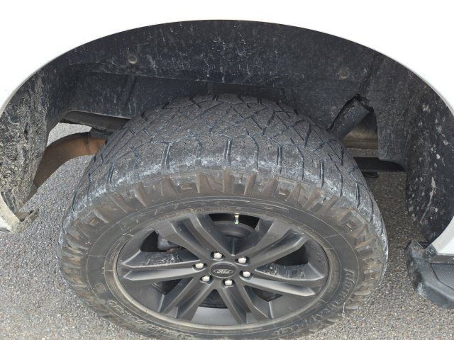 Used 2021 Ford F150 XLT w/ Equipment Group 302A High AWD/4WD image 7