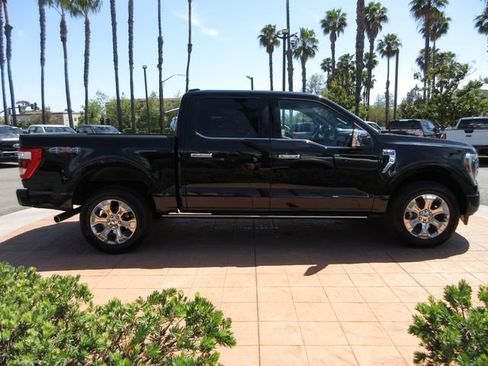 Certified 2023 Ford F150 Platinum image 5