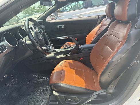 Used 2019 Ford Mustang Premium RWD image 2