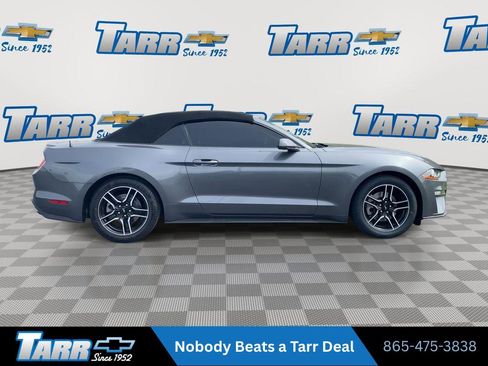 Used 2022 Ford Mustang Premium RWD image 9