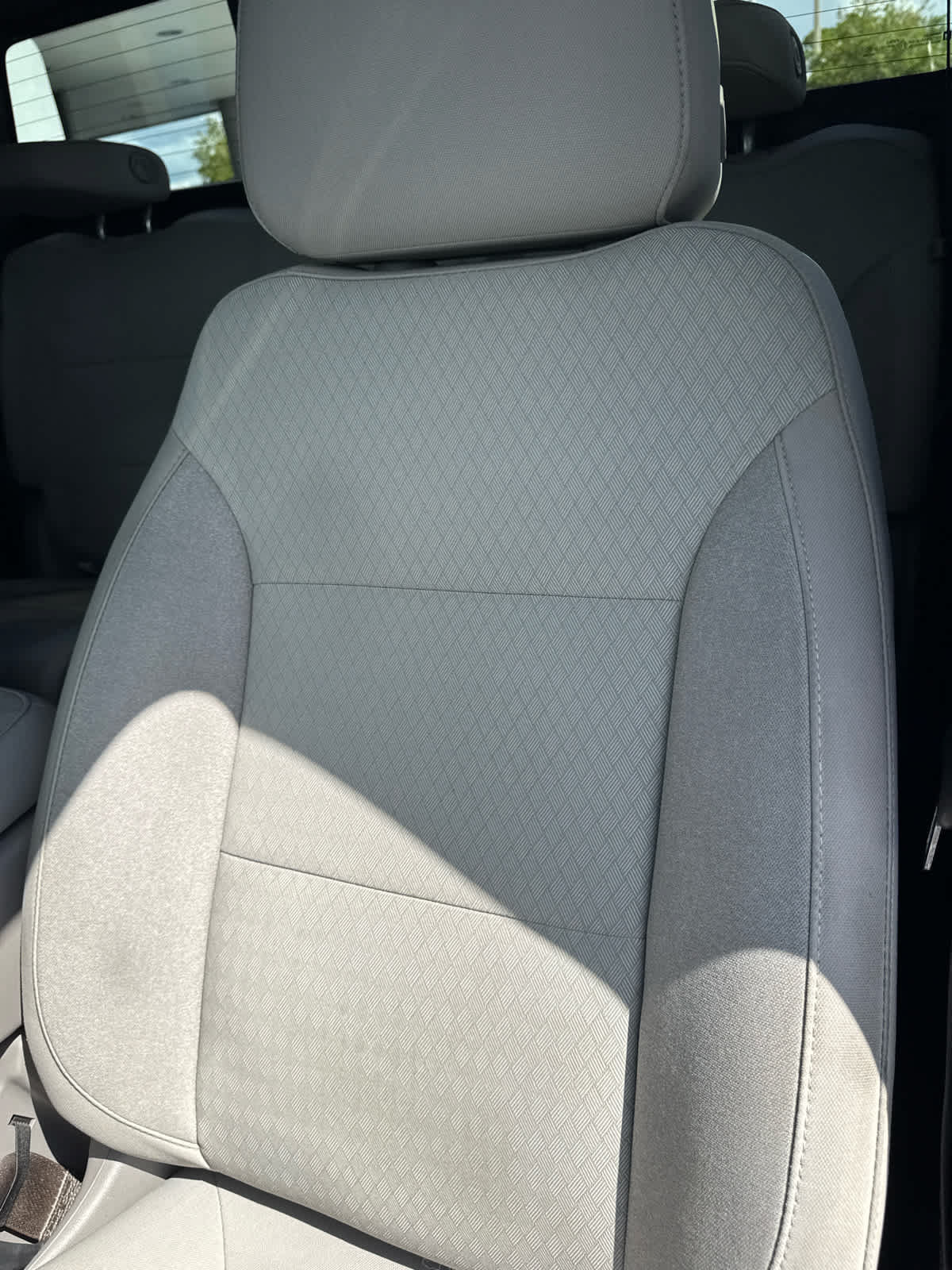 Used 2019 Chevrolet Silverado 1500 LT w/ All-Star Edition RWD image 15