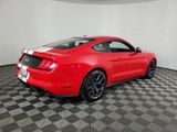 Used 2019 Ford Mustang GT w/ Equipment Group 301A image 4