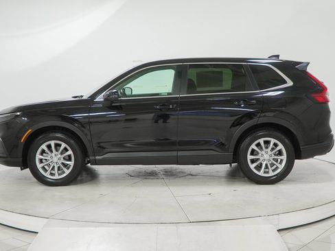 Certified 2025 Honda CR-V EX-L image 6