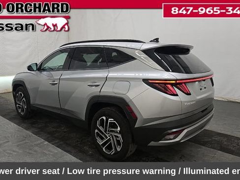 Used 2025 Hyundai Tucson Limited AWD/4WD image 6