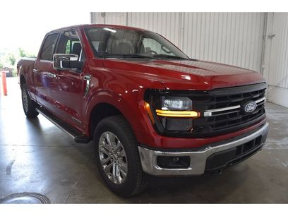 New 2025 Ford F150 XLT w/ Equipment Group 302A MID