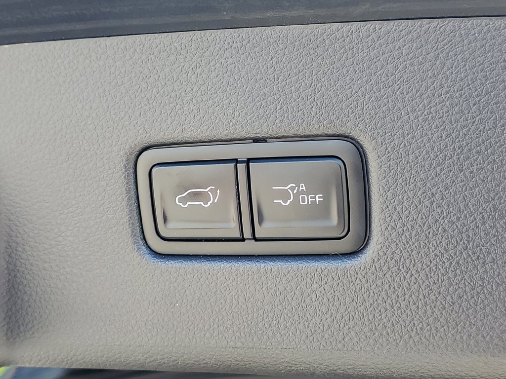 Used 2024 Kia Carnival EX FWD image 9