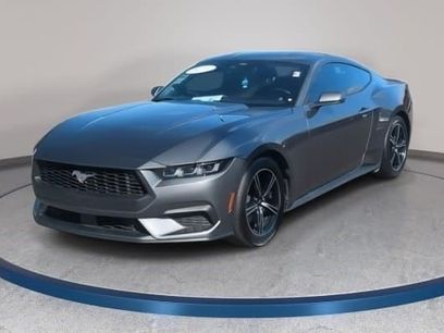 Used 2025 Ford Mustang Premium