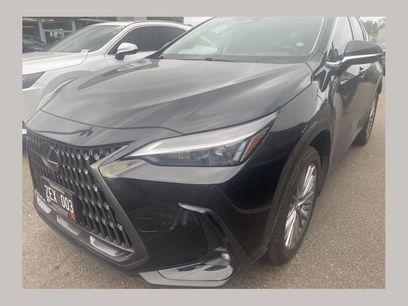 Used 2025 Lexus NX 350h AWD w/ Cold Area Package