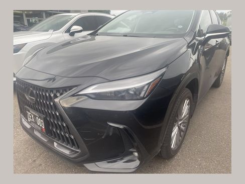 Used 2025 Lexus NX 350h AWD w/ Cold Area Package image 1