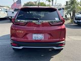 Used 2022 Honda CR-V EX-L image 3