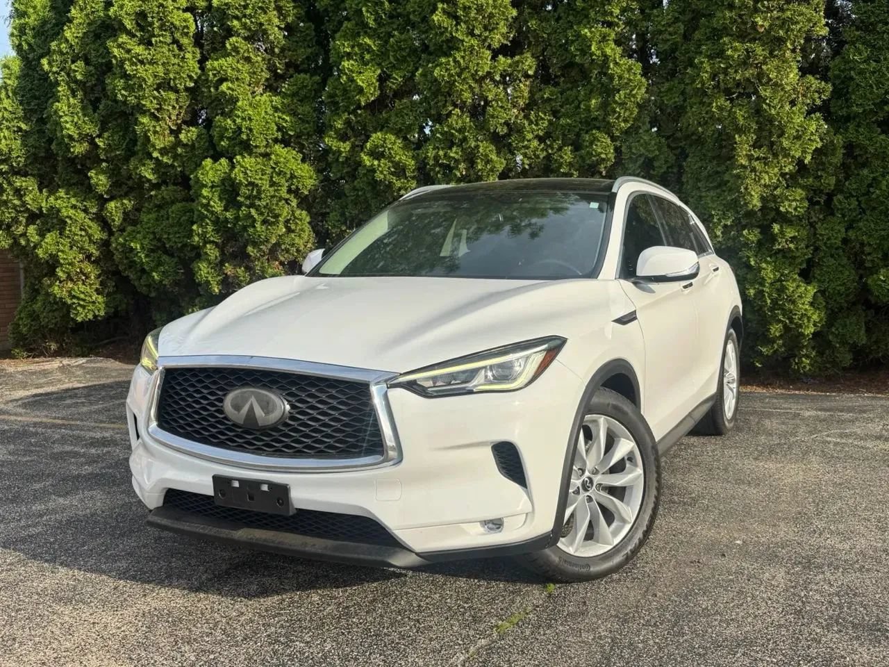 Used 2019 INFINITI QX50 Luxe w/ Navigation Package AWD/4WD image 1
