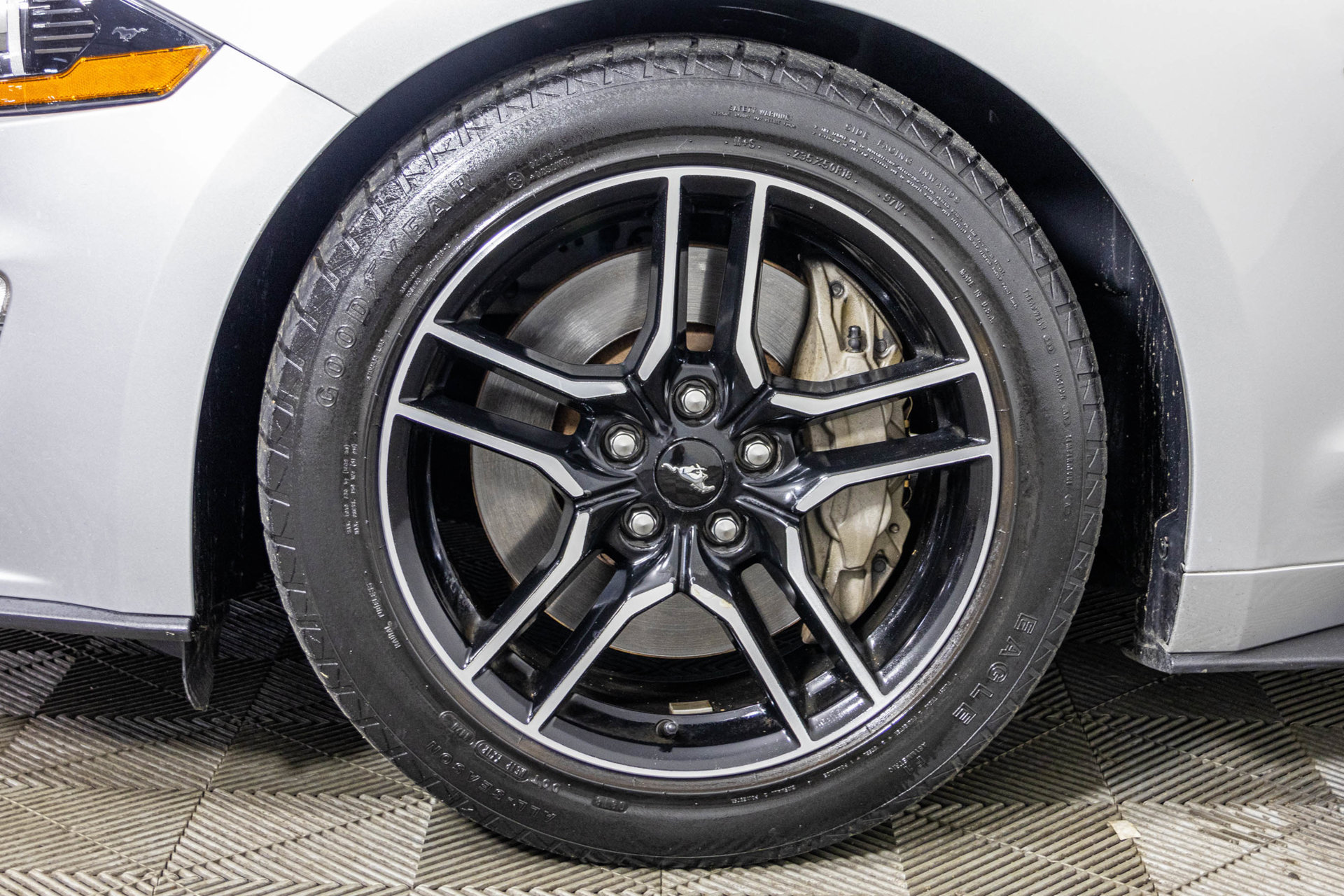 Used 2019 Ford Mustang GT Premium RWD image 45