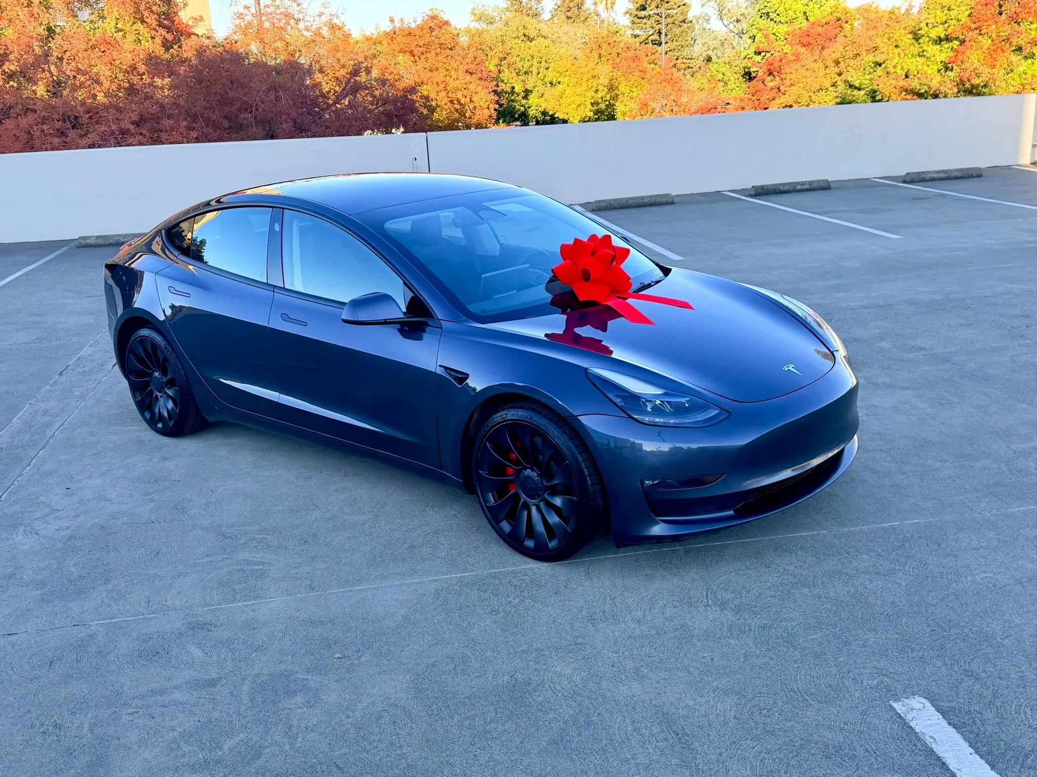 Used 2023 Tesla Model 3 Performance AWD/4WD image 11