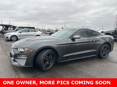 Used 2019 Ford Mustang Premium w/ Equipment Group 201A