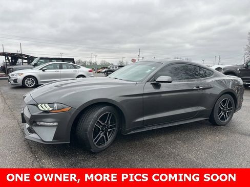 Used 2019 Ford Mustang Premium w/ Equipment Group 201A image 1