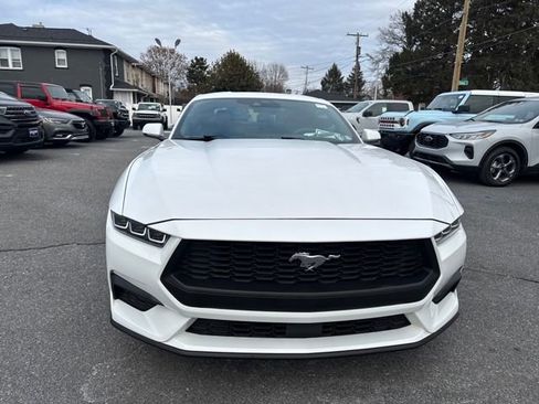 Used 2024 Ford Mustang Premium image 8