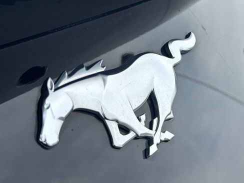 Used 2024 Ford Mustang Premium image 10