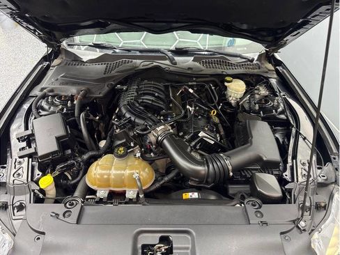 Used 2016 Ford Mustang Coupe RWD image 19
