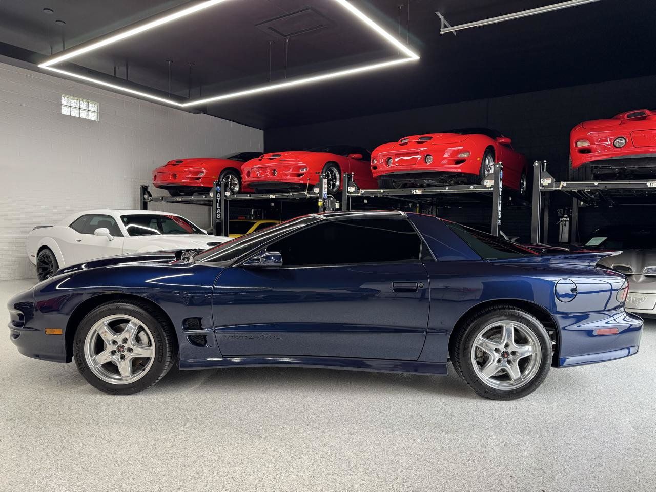Used 2001 Pontiac Firebird Trans Am w/ SLP Firehawk Pkg RWD image 9