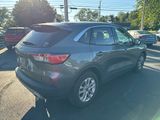 Used 2022 Ford Escape SE w/ Cold Weather Package image 6