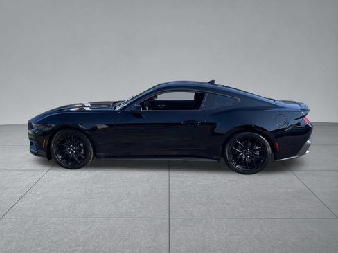 Used 2025 Ford Mustang Coupe w/ Mustang Nite Pony Package RWD image 4