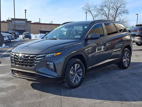 Used 2023 Hyundai Tucson Blue image 3