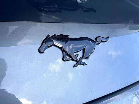 New 2026 Ford Mustang Coupe w/ Mustang Nite Pony Package image 14