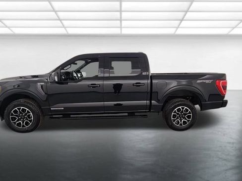 Used 2023 Ford F150 XLT w/ Equipment Group 302A High image 5