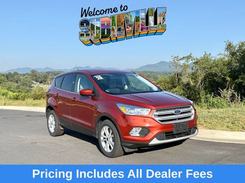 Used 2019 Ford Escape SE AWD/4WD image 1