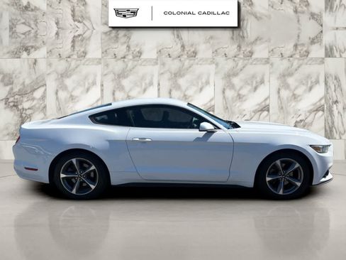 Used 2015 Ford Mustang Coupe w/ Equipment Group 051A RWD image 6