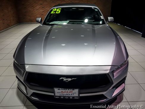 Used 2025 Ford Mustang Premium RWD image 6