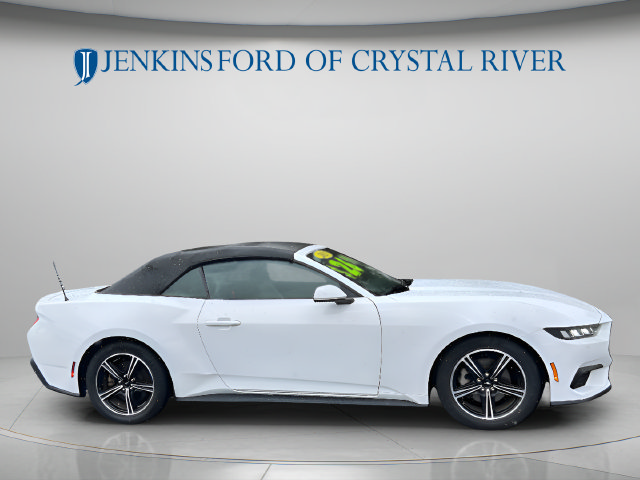 Used 2024 Ford Mustang Premium RWD image 3