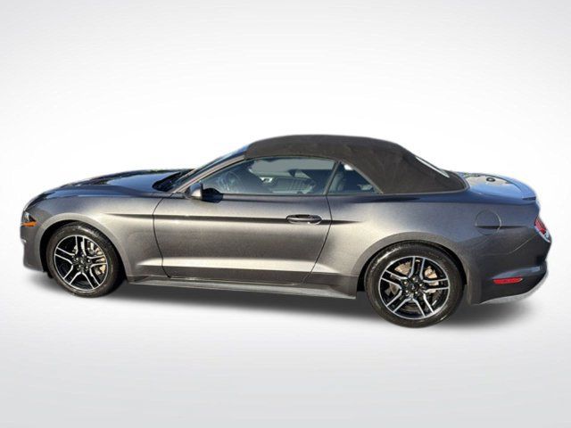 Used 2019 Ford Mustang Premium RWD image 2
