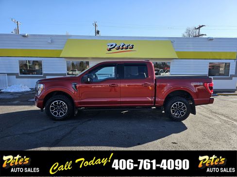 Used 2023 Ford F150 XLT w/ Equipment Group 302A High image 1