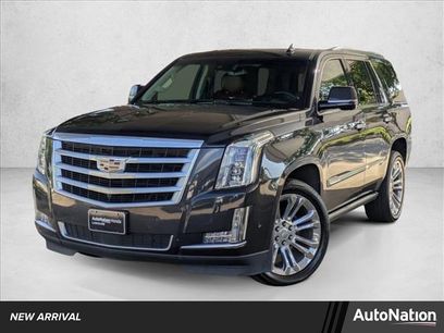 Used 2019 Cadillac Escalade Premium Luxury w/ LPO, Escalade Noir Package