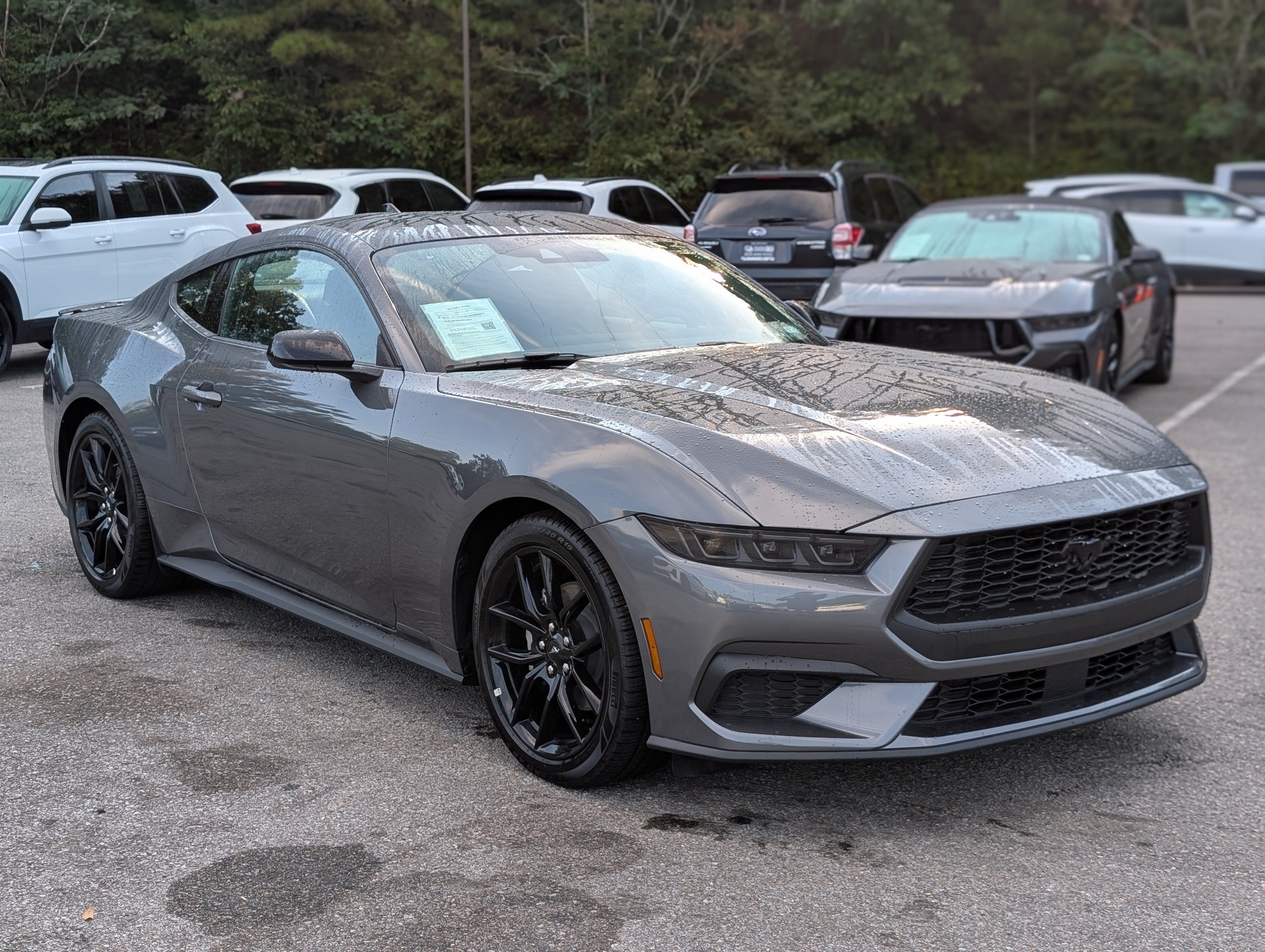 Used 2026 Ford Mustang Coupe w/ Mustang Nite Pony Package RWD image 11