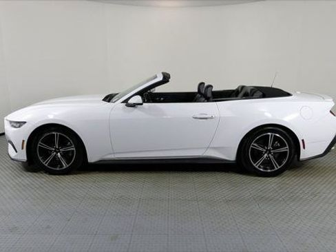Used 2024 Ford Mustang Premium RWD image 3