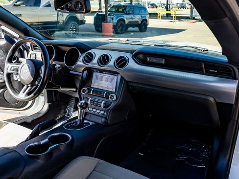 Used 2019 Ford Mustang GT w/ Equipment Group 301A image 13