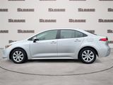 Used 2024 Toyota Corolla LE image 2