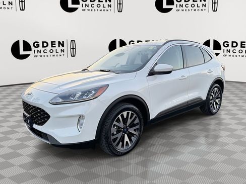 Used 2020 Ford Escape SEL AWD/4WD image 1