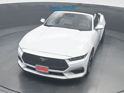 Used 2024 Ford Mustang Premium image 19