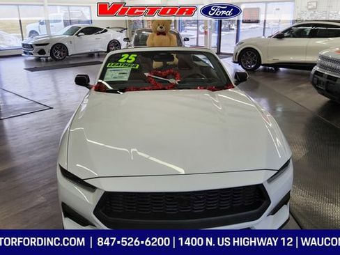 Used 2025 Ford Mustang Premium image 6