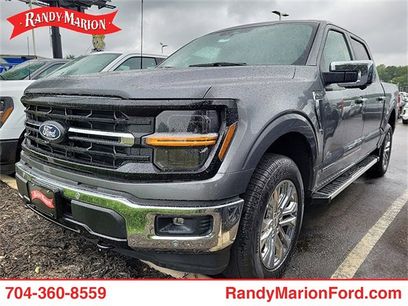 New 2024 Ford F150 XLT w/ Equipment Group 303A High