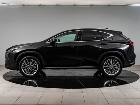 Certified 2026 Lexus NX 350 AWD w/ Accessory Package (2T) image 5