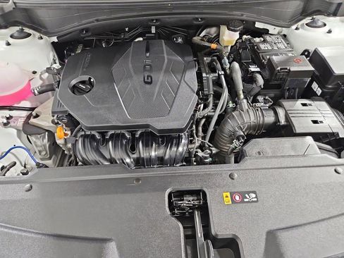 Used 2024 Kia Sportage X-Line image 22