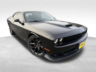 Used 2019 Dodge Challenger R/T w/ Driver Convenience Group