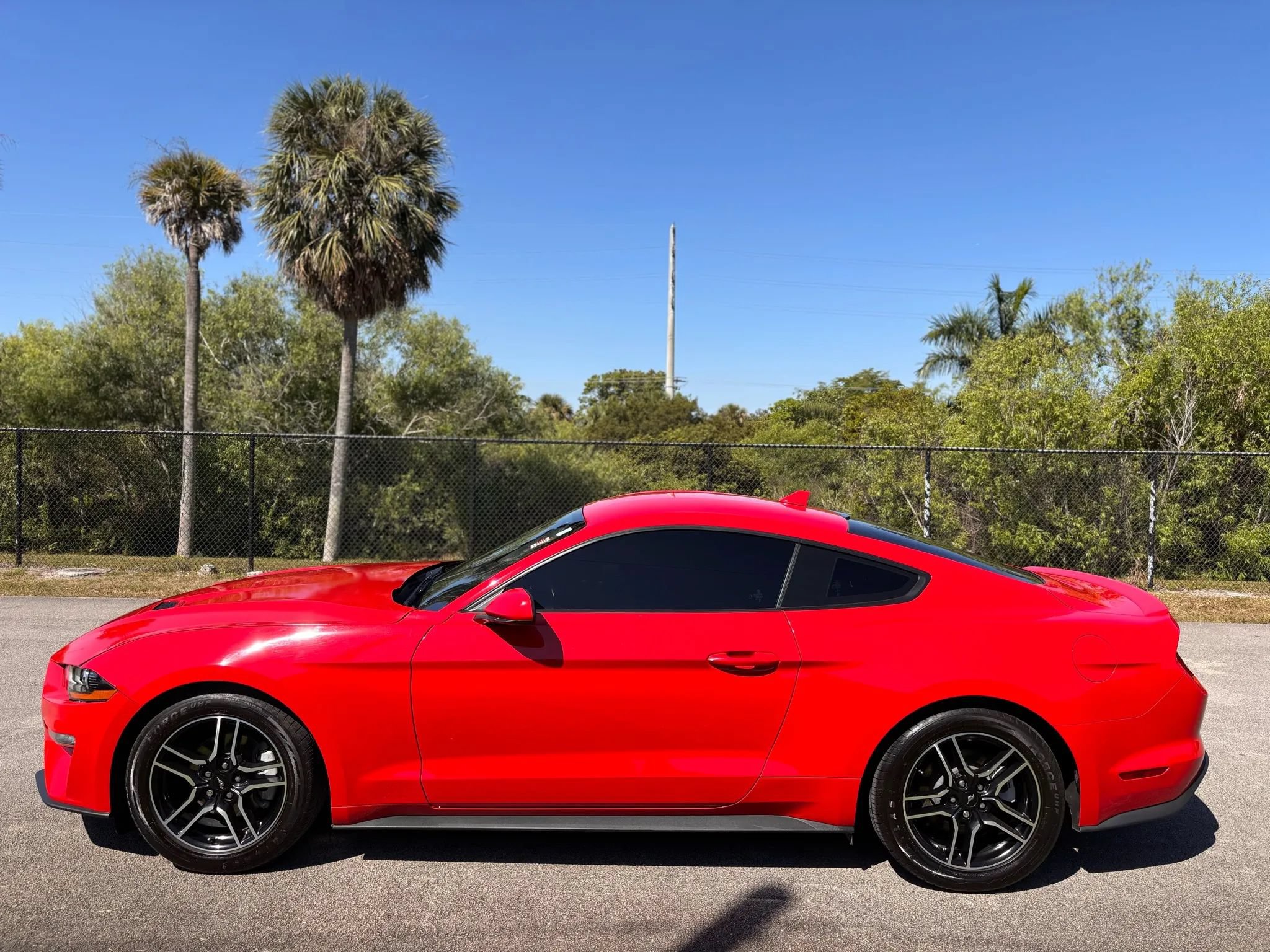 Used 2023 Ford Mustang Premium RWD image 9