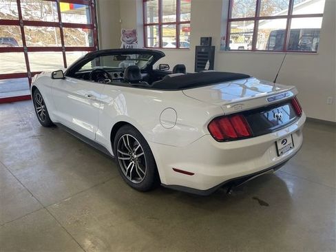 Used 2017 Ford Mustang Premium image 5