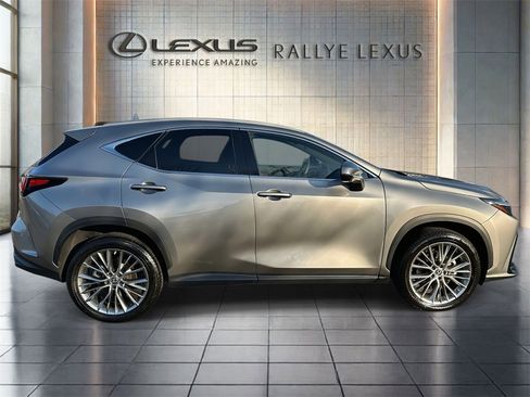 Used 2023 Lexus NX 350 350 Luxury image 2